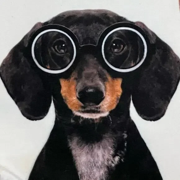 New Dog Cosmetic Bag Pouch with Funny Dogs Wearing Glasses - Picture 3 of 4